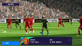 爱尔兰足球阵容 爱尔兰足球阵容