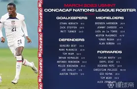 普利西奇转会切尔西